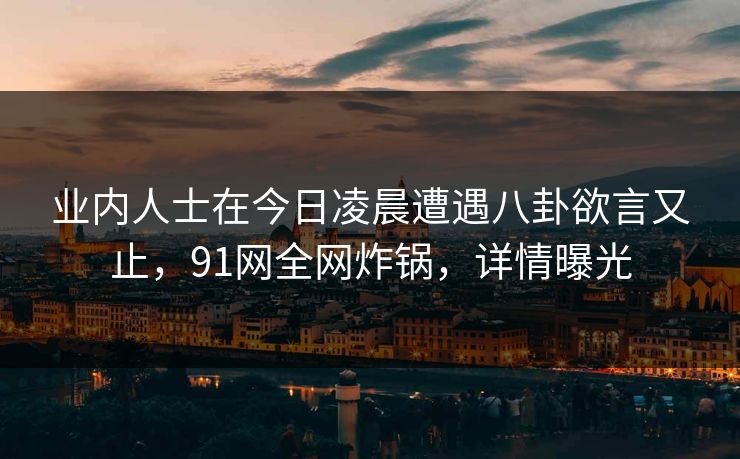 业内人士在今日凌晨遭遇八卦欲言又止，91网全网炸锅，详情曝光