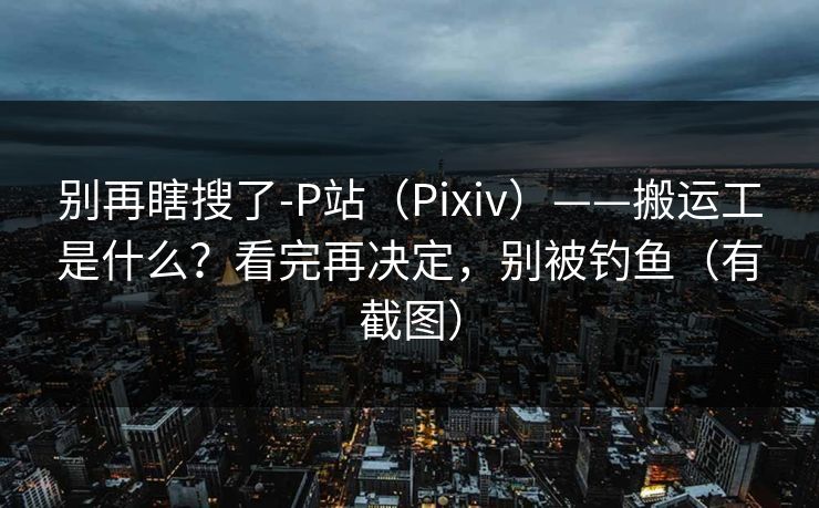 别再瞎搜了-P站（Pixiv）——搬运工是什么？看完再决定，别被钓鱼（有截图）