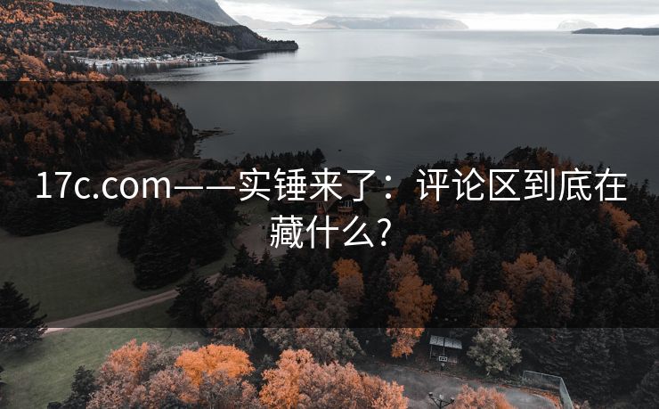 17c.com——实锤来了：评论区到底在藏什么?
